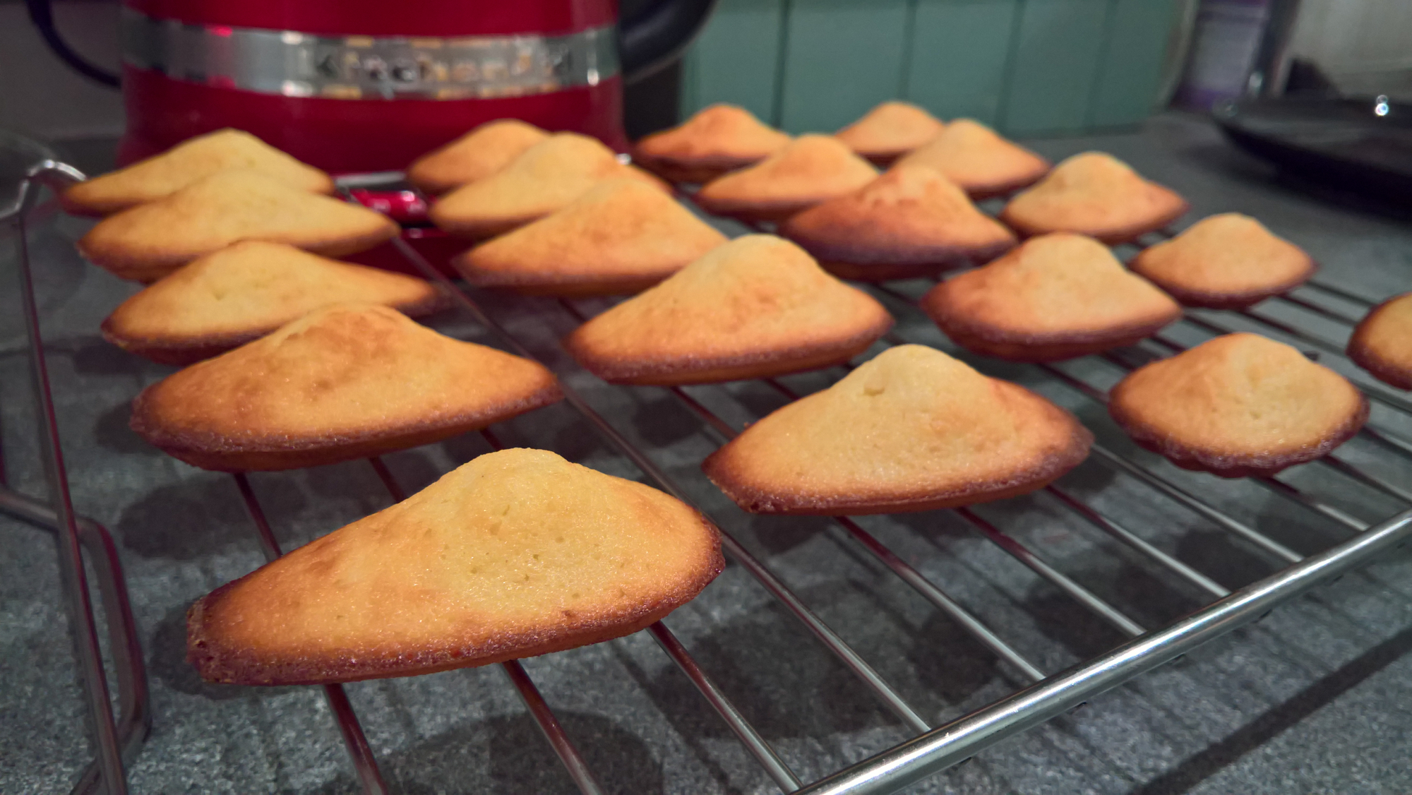 Madeleines cooling down