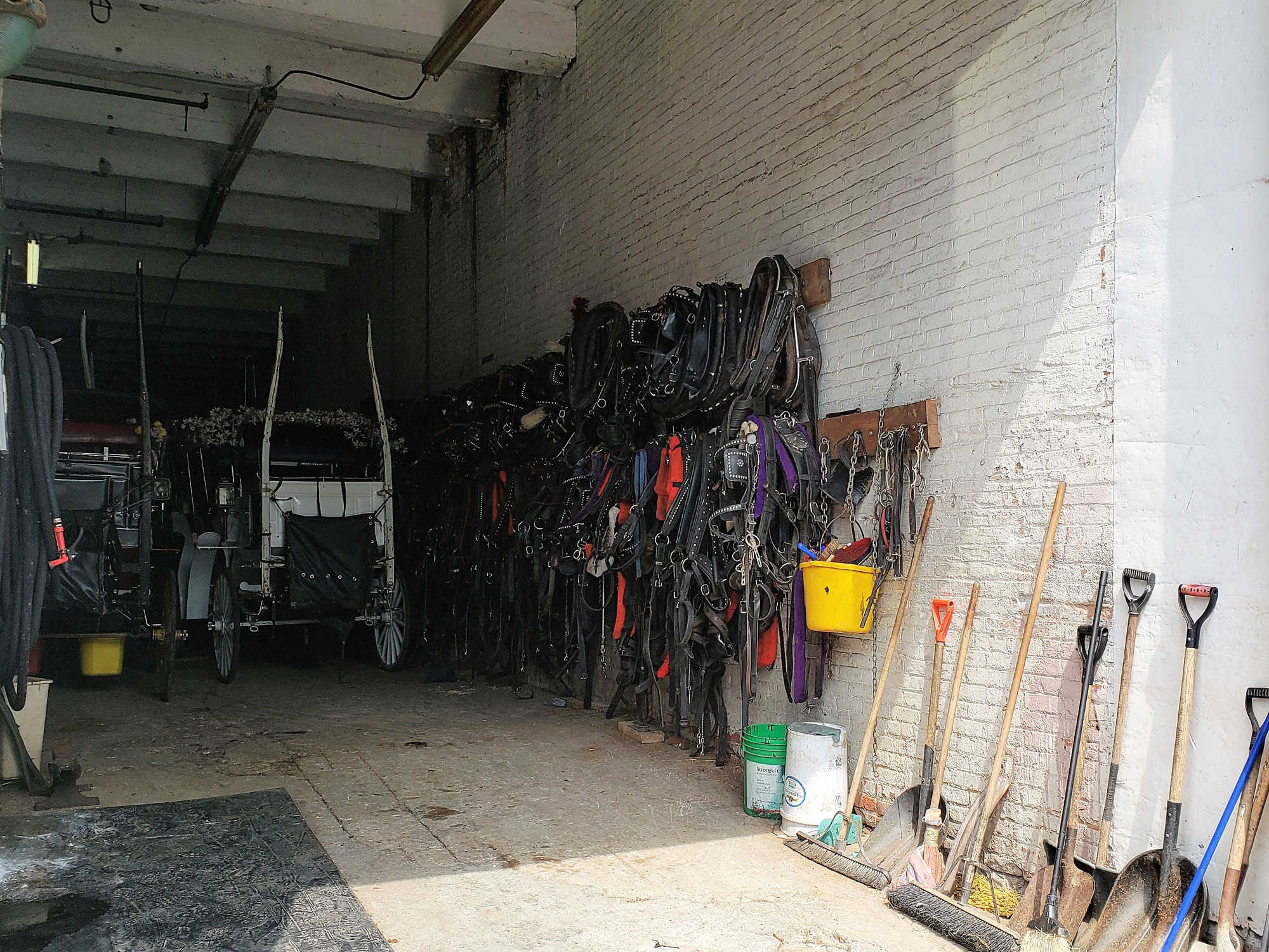 Horse carriages in Manhattan Midtown